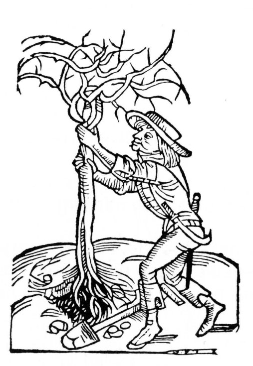 A white line drawing on a black background where the gardener with the tree is mirrored, facing the other direction.
